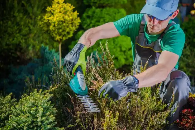 landscaping services Plantersville